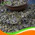 Hulled Pumpkin Seed Kernels